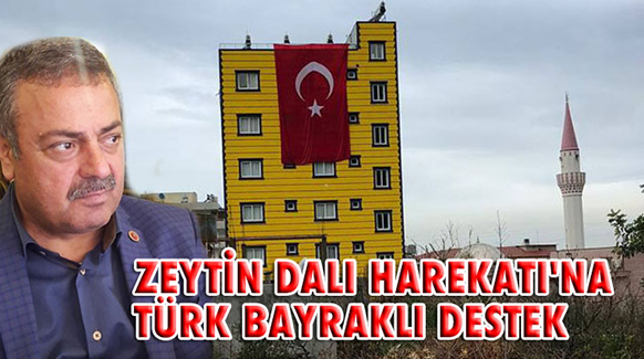 Zeytin Dalı Harekatına Türk Bayraklı Destek