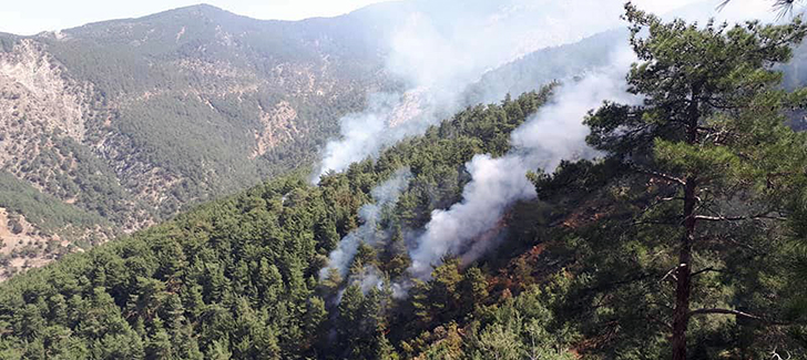 Teröristlerin Çıkardığı Orman Yangını Kontrol Altına Alındı