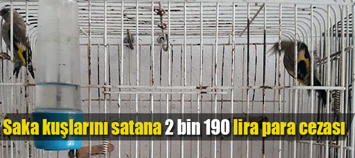 Saka Kuşlarını Satana 2 bin 190 Lira Para Cezası