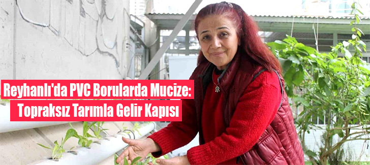 Reyhanlı'da PVC Borularda Mucize: Topraksız Tarımla Gelir Kapısı