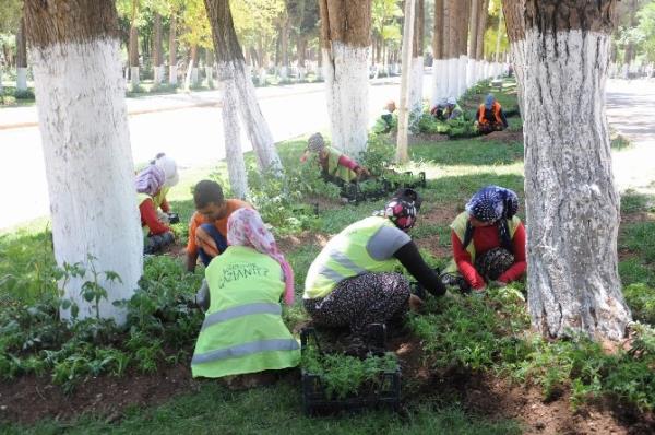 Gaziantep'teki Mezarlıklar Kadınların Ellerinde Çiçek Açıp Yeşilleniyor