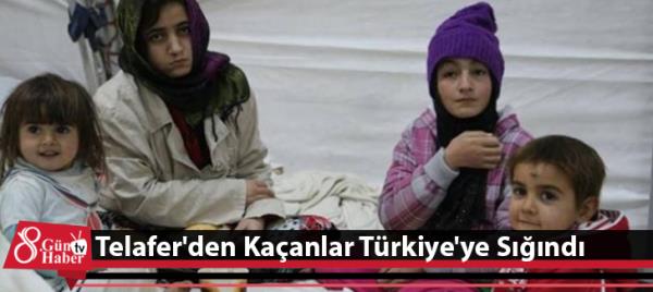 Telafer'den Kaçanlar Türkiye'ye Sığındı