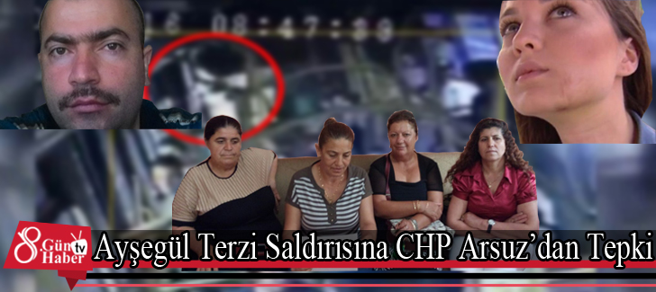 Ayşegül Terzi Saldırısına CHP Arsuzdan Tepki 