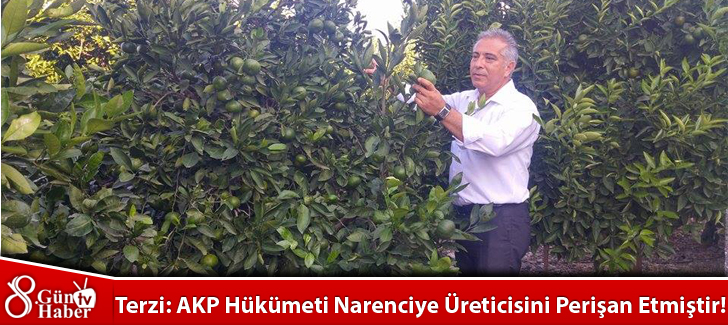 Terzi: AKP Hükümeti Narenciye Üreticisini Perişan Etmiştir!