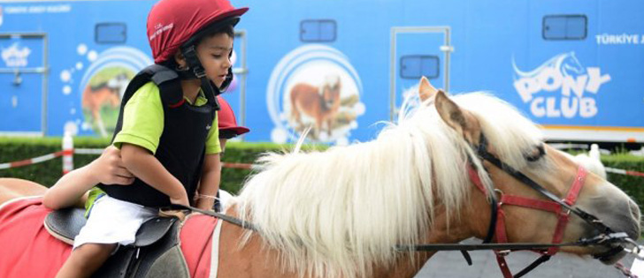 Çocuklar Pony Cinsi Atlarla Buluşacak