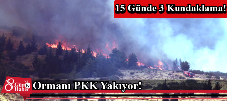Ormanı PKK Yakıyor!