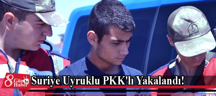 Suriye Uyruklu PKK'lı Yakalandı!