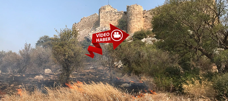  Kastabala Antik Kenti'nde Orman Yangını Çıktı