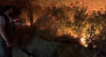 Hatay'daki yangına, karşı ateş tekniğiyle müdahale ediliyor
