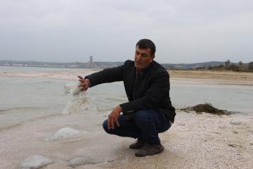 Erzin'de Burnaz sahili ölü denizanalarıyla kaplandı