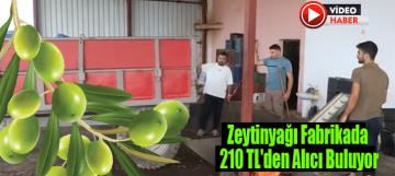 Hatay'da Üretilen Zeytinyağı Fabrikada 210 TL'den Alıcı Buluyor