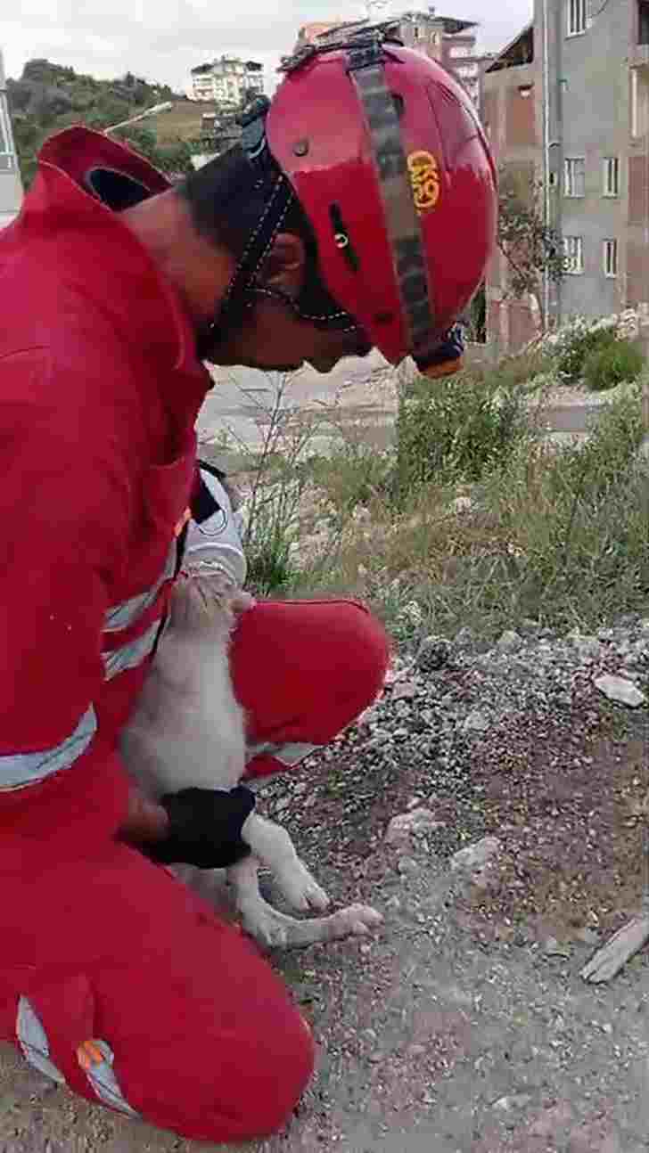 HBB’DEN YAVRU KÖPEĞE ANINDA MÜDAHALE