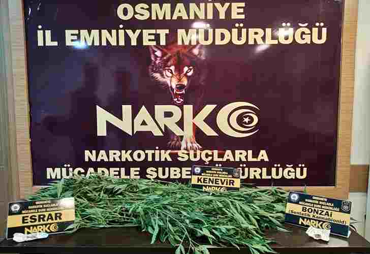 Osmaniyede uyuşturucu operasyonu