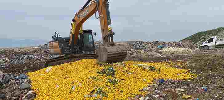 Dubai’ye Gönderilecek 71 Ton Limon Çöpe Gitti!