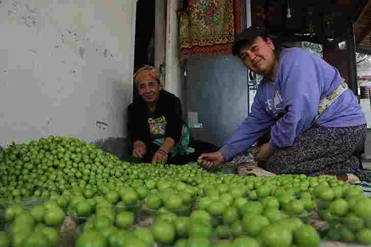 Hatay’da 500 TL’lik Erik Hasadı