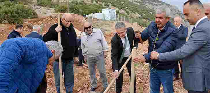 İbrahim Gül;  Atıl Belediye Arazilerine Hayat Veriyor…