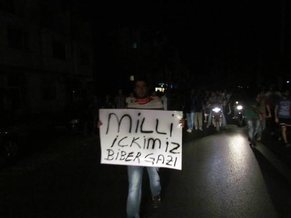 İskenderun Gezi Parkı Eylemi Pankartları!
