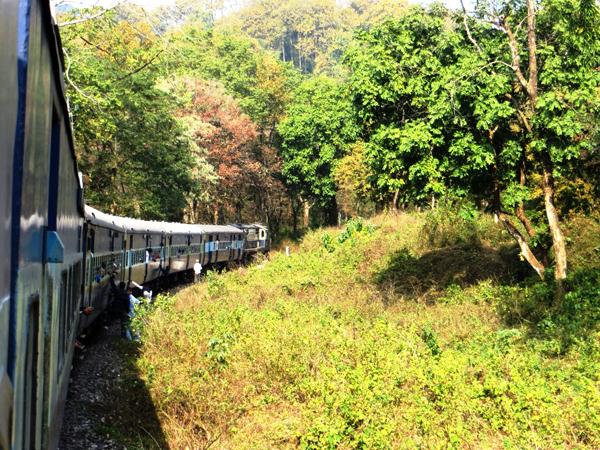 Hindistan'ın Batı Bengal eyaleti Ormancılık Bakanı Hiten Burman, Chapramari Ormanı'nda saatte 80 kilometre hızla ilerleyen trenin, yolun karşısına geçen 40 fillik bir sürüye çarptığını açıkladı.