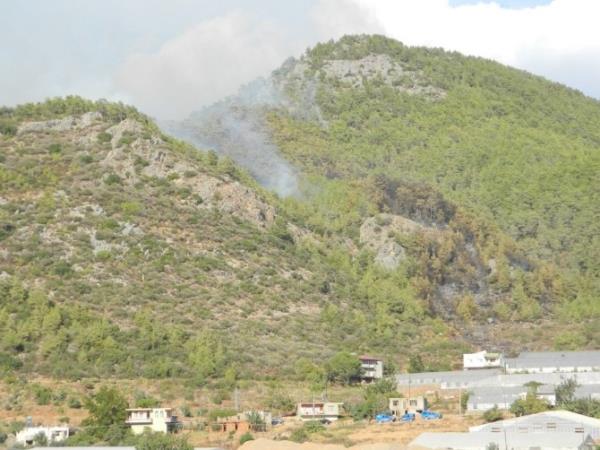Mersin'de 10 Hektar Kızılçam Ormanı Yandı