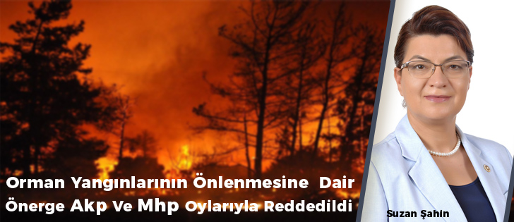 Orman Yangınlarının Önlenmesine Dair Önerge Akp Ve Mhp Oylarıyla Reddedildi