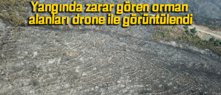 Yangında zarar gören orman alanları drone ile görüntülendi