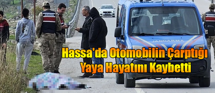 Hassa'da Otomobilin Çarptığı Yaya Hayatını Kaybetti