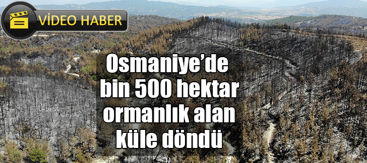 Osmaniyede bin 500 hektar ormanlık alan küle döndü