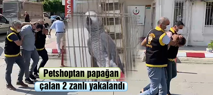 Petshoptan papağan çalan 2 zanlı yakalandı