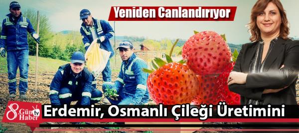 Erdemir,  Osmanlı Çileği Üretimini Yeniden Canlandırıyor! 