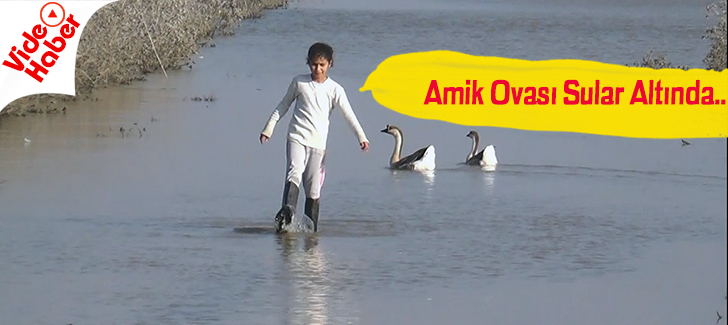 Amik Ovası sular altında