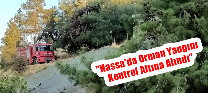 'Hassa'da Orman Yangını  Kontrol Altına Alındı'