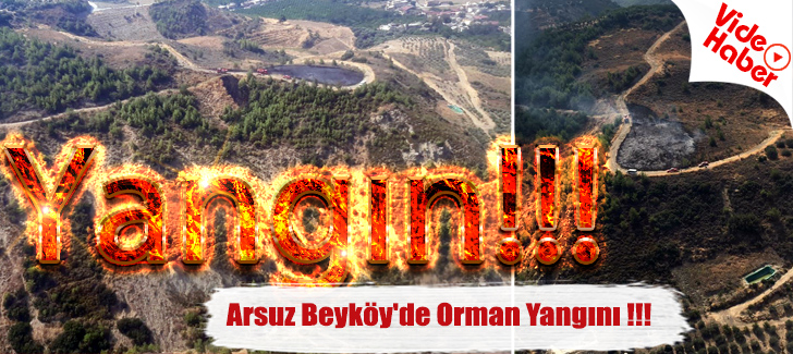 Arsuz Beyköy'de Orman Yangını !!!