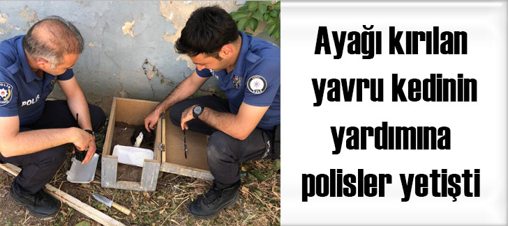 Ayağı kırılan yavru kedinin yardımına polisler yetişti
