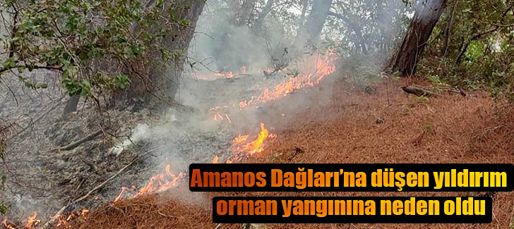  Amanos Dağları’na düşen yıldırım orman yangınına neden oldu