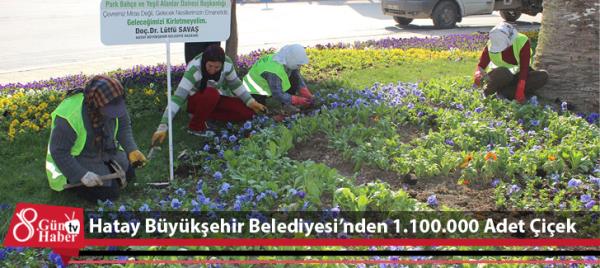 Hatay Büyükşehir Belediyesinden 1.100.000 Adet Çiçek