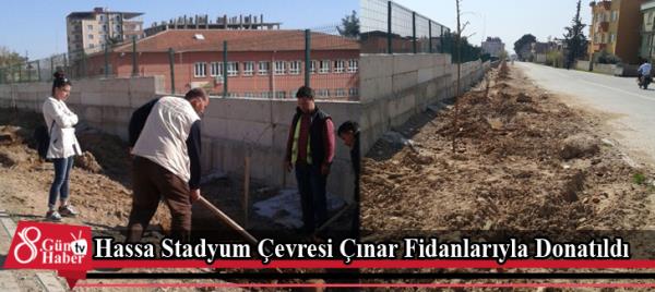 Hassa Stadyum Çevresi Çınar Fidanlarıyla Donatıldı