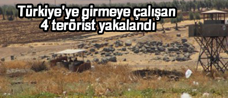 Türkiye'ye girmeye çalışan 4 terörist yakalandı