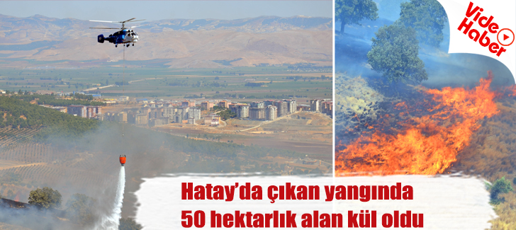 Hatayda çıkan yangında 50 hektarlık alan kül oldu
