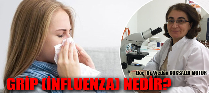 Grip (İnfluenza) Nedir?