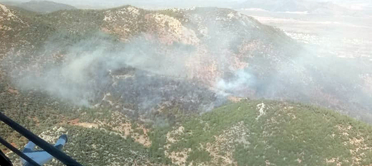 Hassa'da Orman Yangını