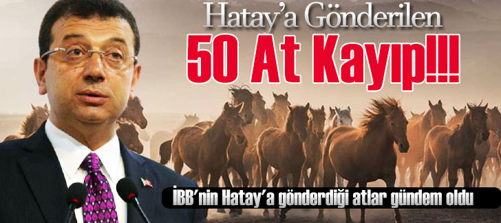 Hatay'a Gönderilen 50 At Kayıp!