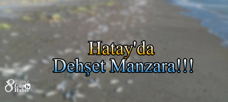 Hatay'da Dehşet Manzara!!!