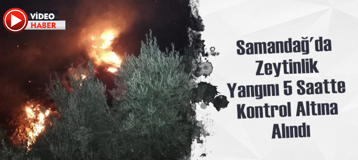 Samandağ'da zeytinlik yangını 5 saatte kontrol altına alındı