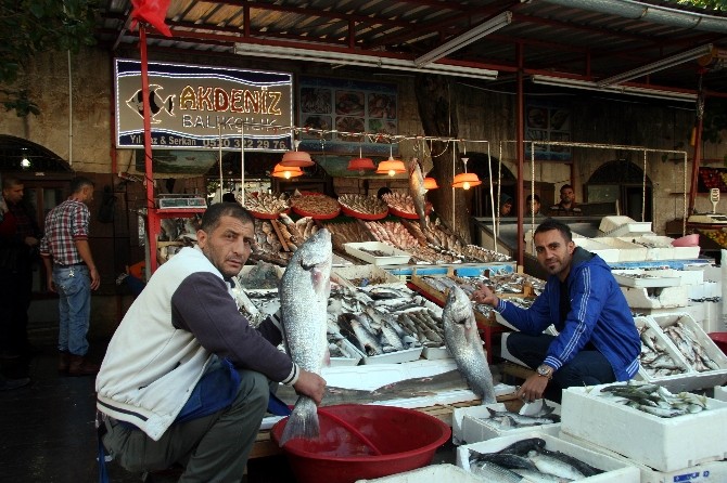 Kilis'te Balık Satışlarına Yoğun İlgi