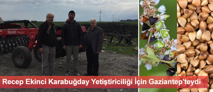 Recep Ekinci Karabuğday Yetiştiriciliği İçin Gaziantep'teydi