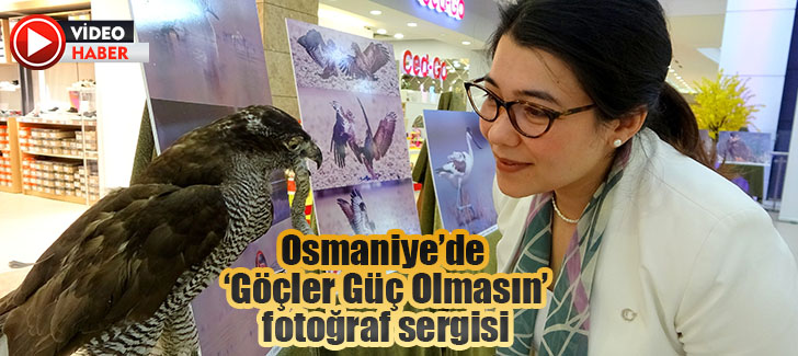 Osmaniye’de ‘Göçler Güç Olmasın’ fotoğraf sergisi