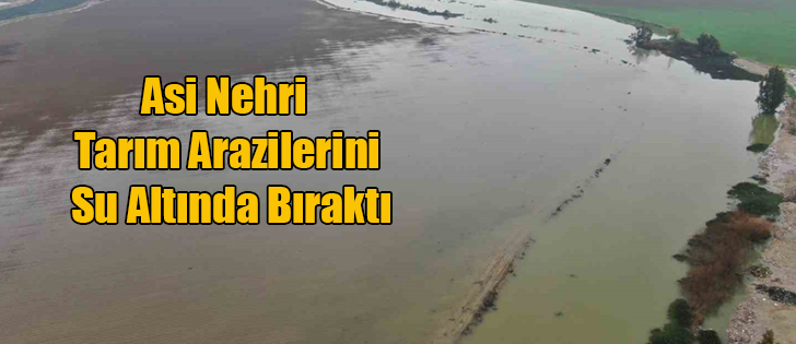 Asi Nehri Tarım Arazilerini Su Altında Bıraktı