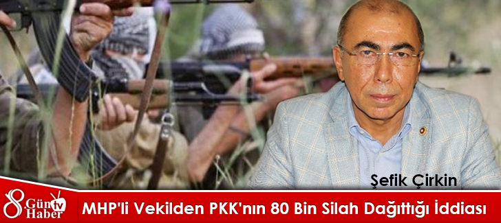 MHP'li Vekilden PKK'nın 80 Bin Silah Dağıttığı İddiası