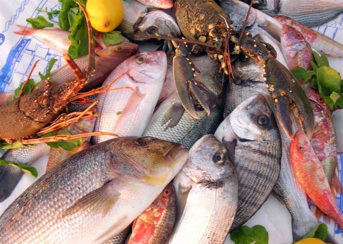 Bilinçsiz İlaç Kullanımı Balık Üretiminde Halk Sağlığını Tehdit Ediyor