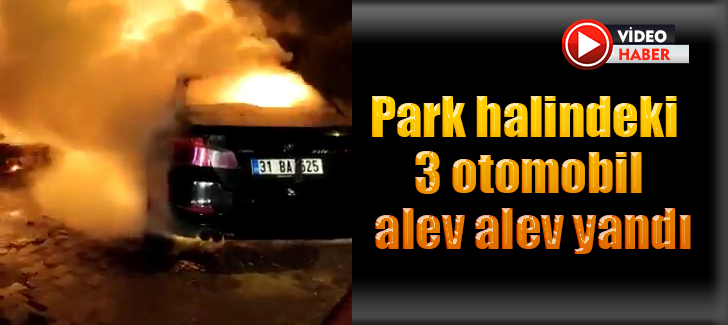 Park halindeki 3 otomobil alev alev yandı